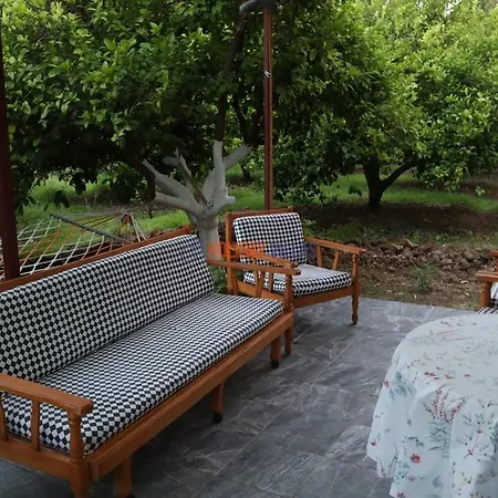 Dolphin Garden * Fethiye