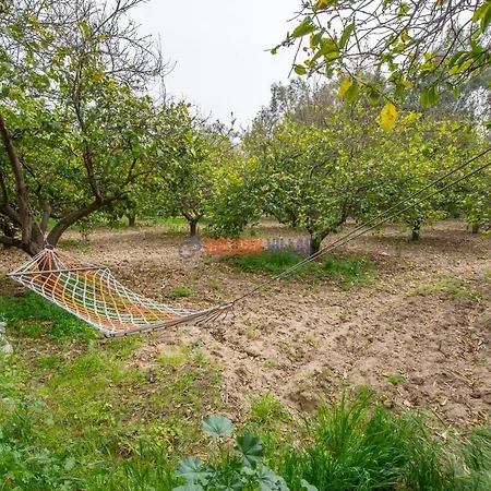 בית נופש Dolphin Garden