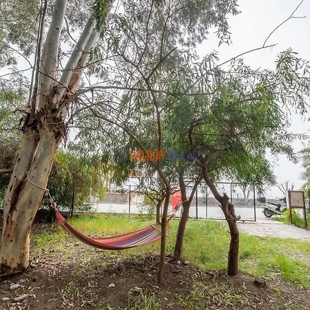 בית נופש Dolphin Garden פאטהיה