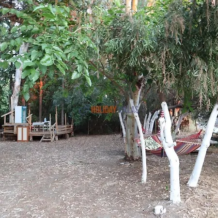 Dolphin Garden * פאטהיה